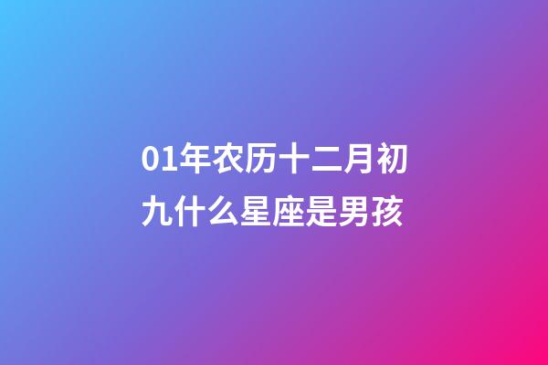 01年农历十二月初九什么星座是男孩-第1张-星座运势-玄机派