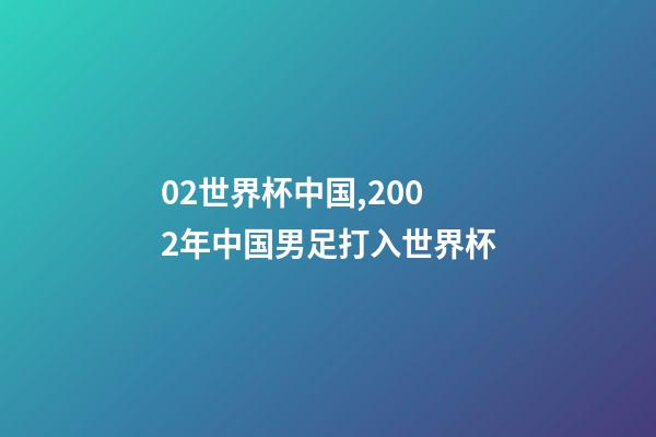 02世界杯中国,2002年中国男足打入世界杯-第1张-观点-玄机派