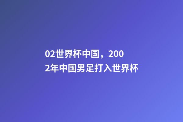 02世界杯中国，2002年中国男足打入世界杯-第1张-观点-玄机派