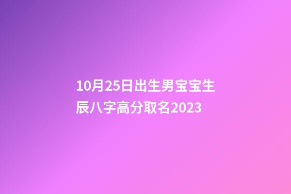 10月25日出生男宝宝生辰八字高分取名2023
