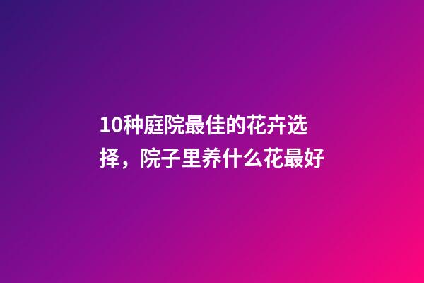 10种庭院最佳的花卉选择，院子里养什么花最好