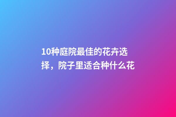 10种庭院最佳的花卉选择，院子里适合种什么花