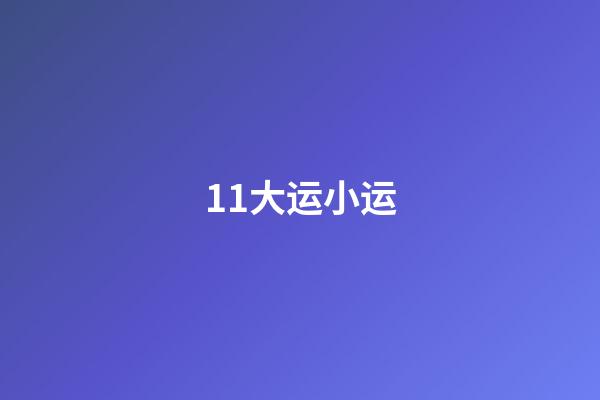 11大运小运