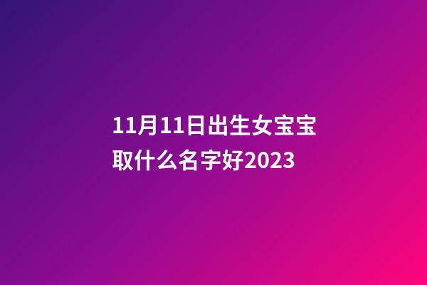 11月11日出生女宝宝取什么名字好2023