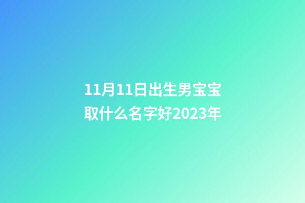 11月11日出生男宝宝取什么名字好2023年