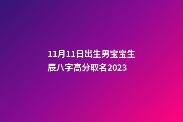 11月11日出生男宝宝生辰八字高分取名2023