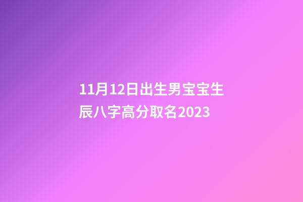 11月12日出生男宝宝生辰八字高分取名2023