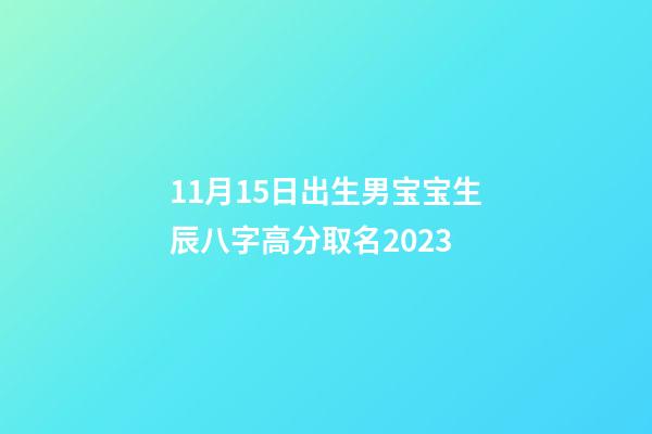 11月15日出生男宝宝生辰八字高分取名2023