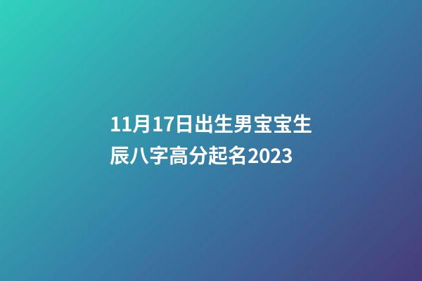 11月17日出生男宝宝生辰八字高分起名2023
