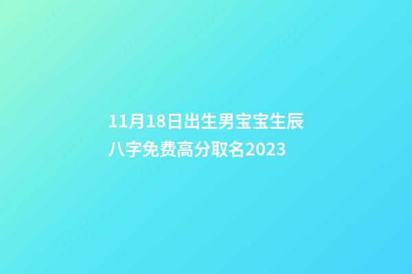 11月18日出生男宝宝生辰八字免费高分取名2023