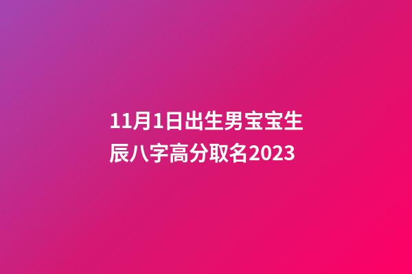 11月1日出生男宝宝生辰八字高分取名2023