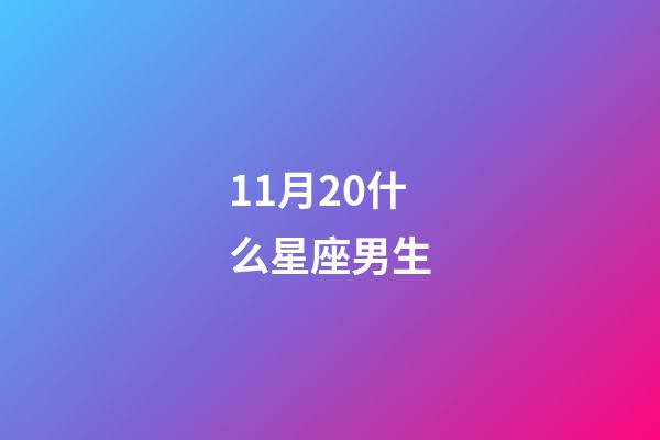 11月20什么星座男生-第1张-星座运势-玄机派