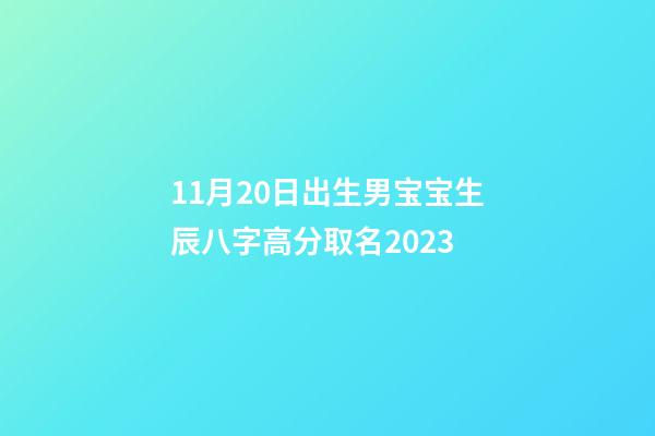 11月20日出生男宝宝生辰八字高分取名2023