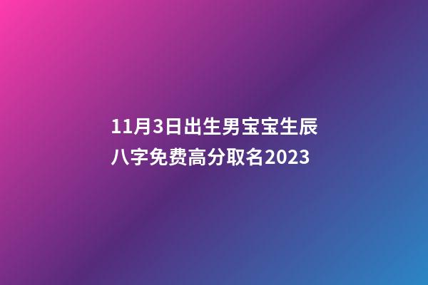 11月3日出生男宝宝生辰八字免费高分取名2023