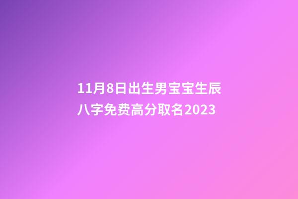 11月8日出生男宝宝生辰八字免费高分取名2023