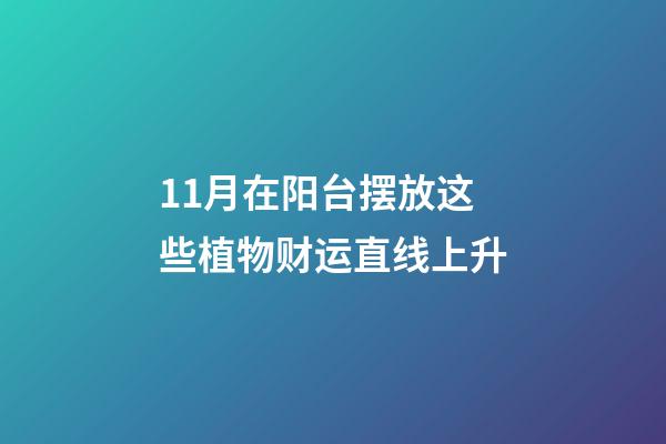 11月在阳台摆放这些植物财运直线上升