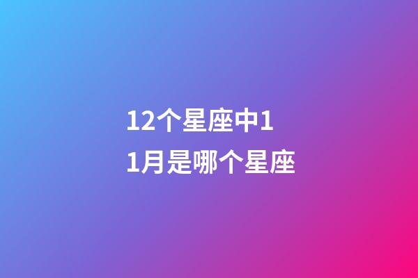 12个星座中11月是哪个星座-第1张-星座运势-玄机派