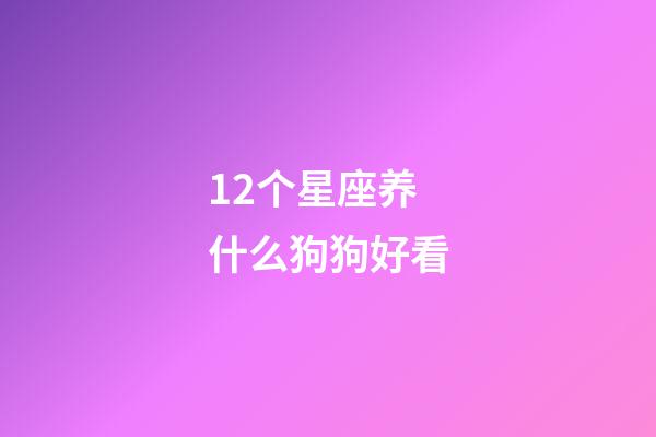 12个星座养什么狗狗好看-第1张-星座运势-玄机派