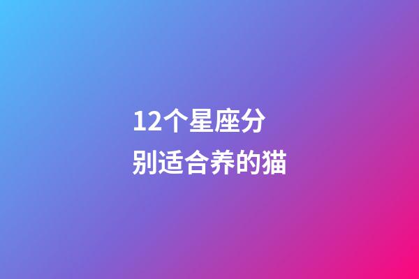 12个星座分别适合养的猫-第1张-星座运势-玄机派