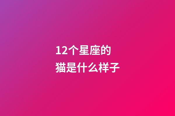12个星座的猫是什么样子-第1张-星座运势-玄机派