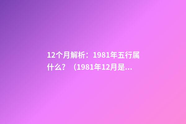 12个月解析：1981年五行属什么？（1981年12月是什么命）