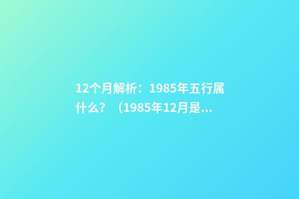 12个月解析：1985年五行属什么？（1985年12月是什么命五行属什么）