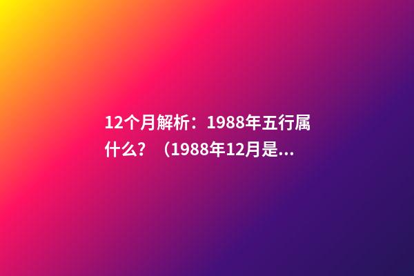 12个月解析：1988年五行属什么？（1988年12月是什么五行）