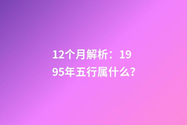12个月解析：1995年五行属什么？