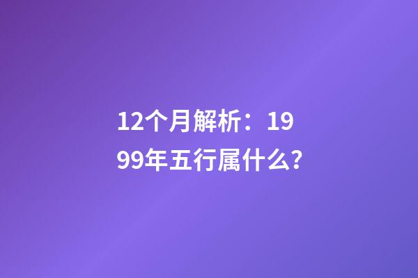 12个月解析：1999年五行属什么？