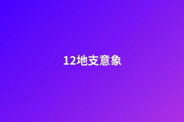 12地支意象