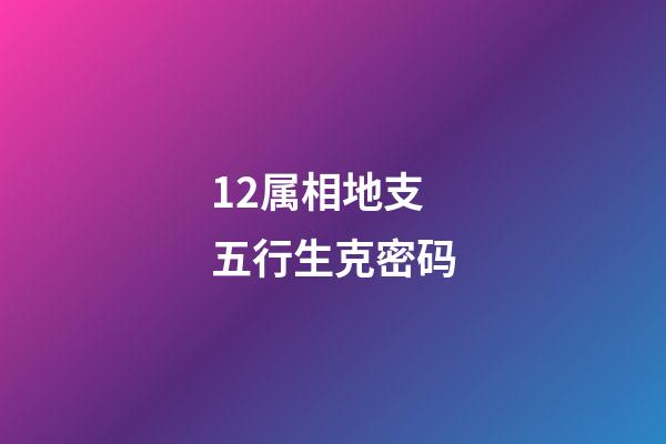 12属相地支五行生克密码