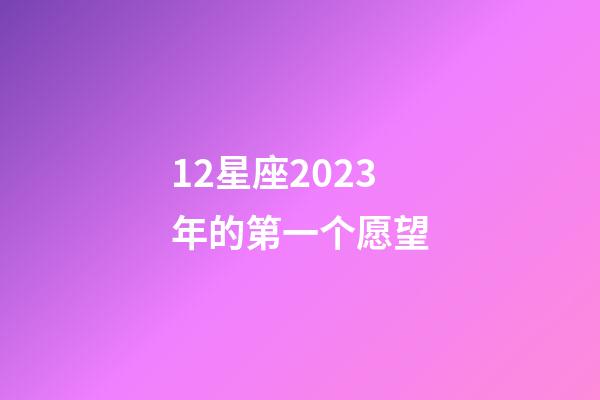 12星座2023年的第一个愿望-第1张-星座运势-玄机派