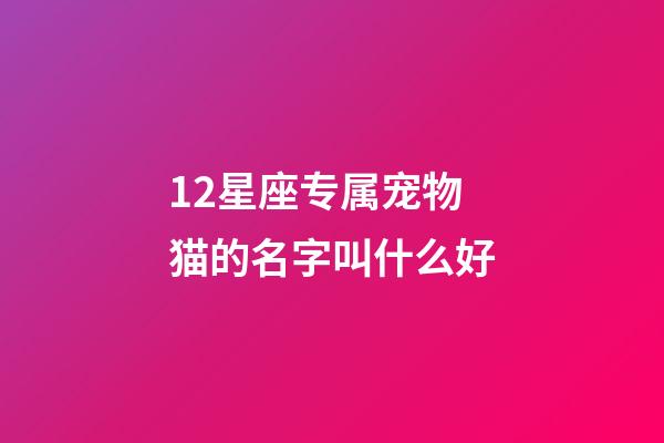 12星座专属宠物猫的名字叫什么好