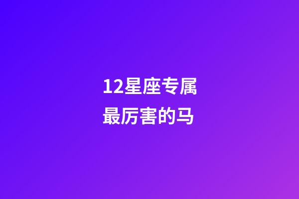 12星座专属最厉害的马-第1张-星座运势-玄机派