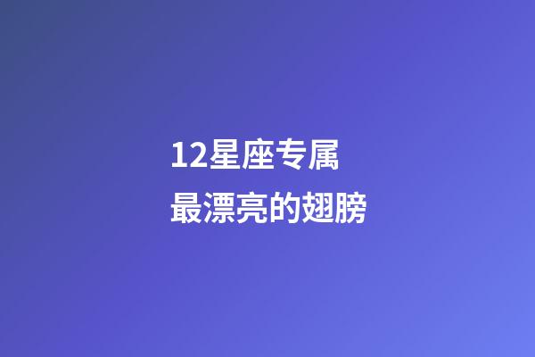 12星座专属最漂亮的翅膀-第1张-星座运势-玄机派