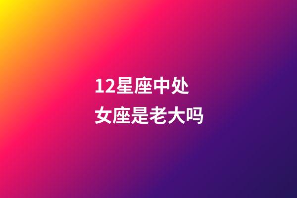 12星座中处女座是老大吗-第1张-星座运势-玄机派
