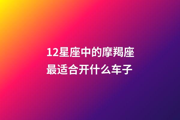 12星座中的摩羯座最适合开什么车子-第1张-星座运势-玄机派