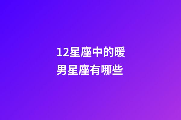 12星座中的暖男星座有哪些-第1张-星座运势-玄机派