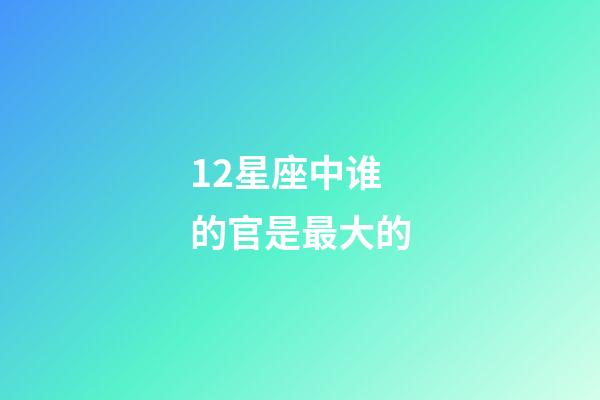 12星座中谁的官是最大的-第1张-星座运势-玄机派