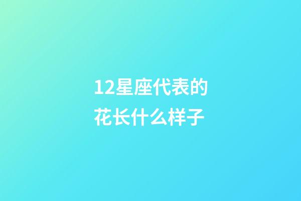 12星座代表的花长什么样子-第1张-星座运势-玄机派
