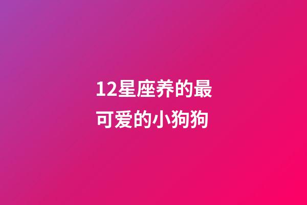 12星座养的最可爱的小狗狗-第1张-星座运势-玄机派