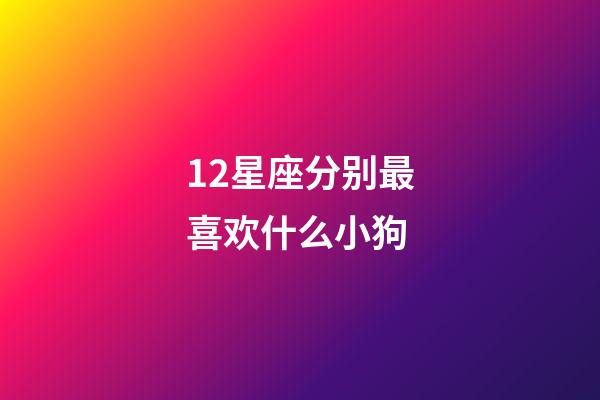 12星座分别最喜欢什么小狗-第1张-星座运势-玄机派
