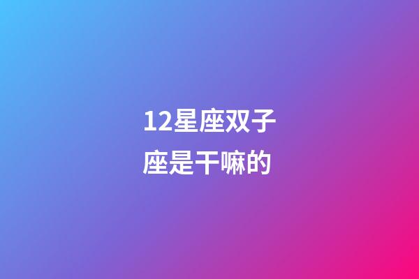 12星座双子座是干嘛的-第1张-星座运势-玄机派