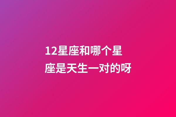 12星座和哪个星座是天生一对的呀-第1张-星座运势-玄机派