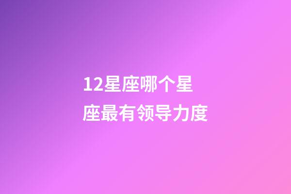 12星座哪个星座最有领导力度-第1张-星座运势-玄机派