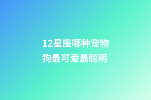 12星座哪种宠物狗最可爱最聪明-第1张-星座运势-玄机派