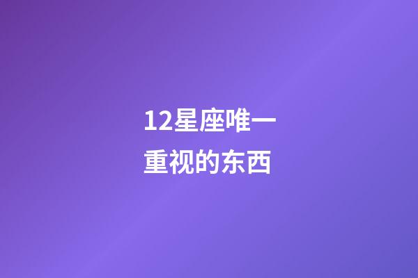 12星座唯一重视的东西-第1张-星座运势-玄机派