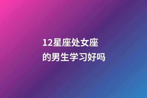 12星座处女座的男生学习好吗-第1张-星座运势-玄机派
