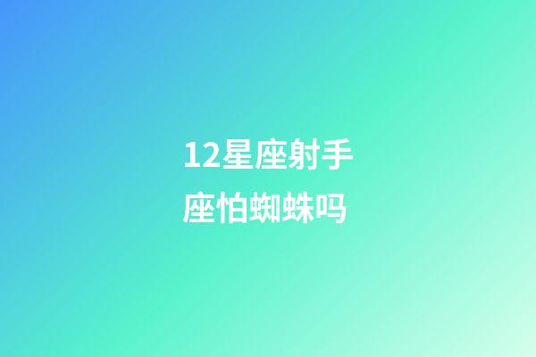 12星座射手座怕蜘蛛吗-第1张-星座运势-玄机派