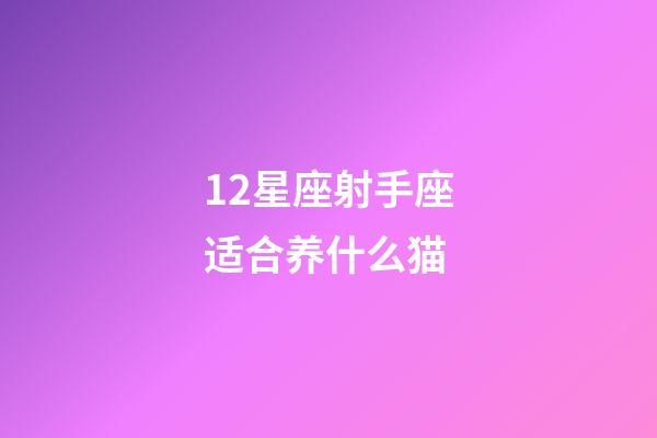 12星座射手座适合养什么猫-第1张-星座运势-玄机派